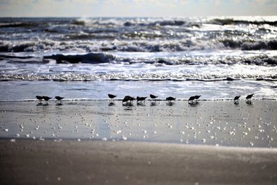 Group of people on beach