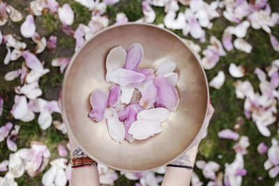 Cropped hands of woman holding purple flowers in bowl