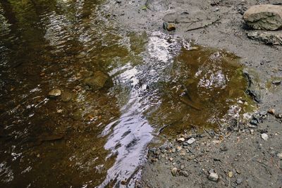 High angle view of stream flowing through rocks