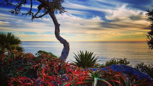 Scenic view of sea against sky at sunset