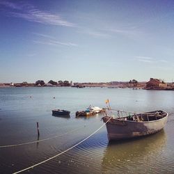 Boats in harbor