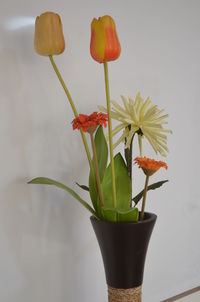 Close-up of red flower