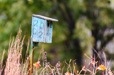 A faded, pale blue wooden birdhouse at the winamac fish and wildlife area in northern indiana