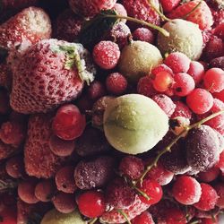 High angle view of fruits