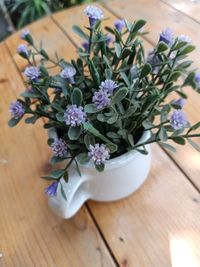 High angle view of flower pot on table