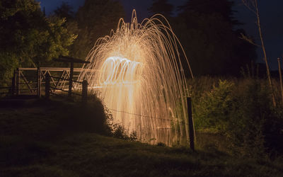 Illuminated wire wools in forest at night