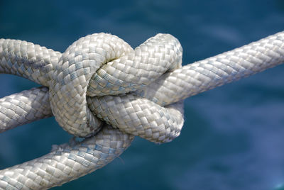 Close-up of lizard on rope against sea