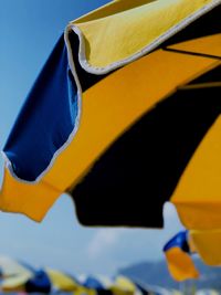 Close-up of yellow flags against blurred background