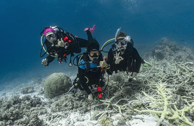 3 friends exploring the great barrier reef / australia