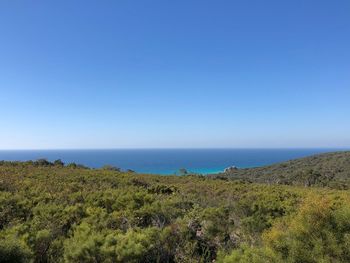 Scenic view of sea against clear blue sky