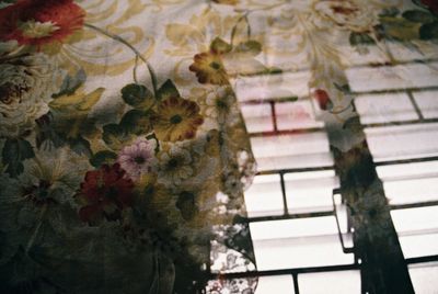 Close-up of flower tree