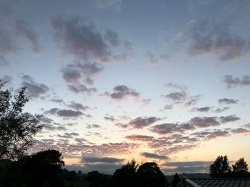 Low angle view of silhouette trees against sky during sunset