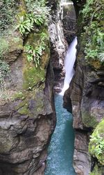 River flowing in forest