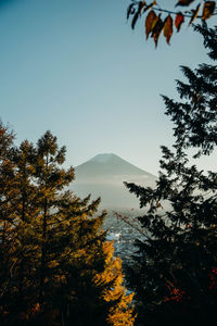 Scenic view of trees and mountains against clear sky