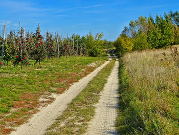 Dirt road amidst field against sky