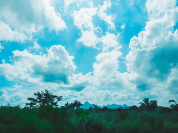 Scenic view of trees on field against sky