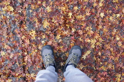 Low section of man standing on autumn leaves