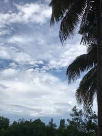 Low angle view of silhouette trees against sky