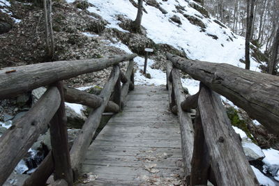 Wooden walkway leading towards trees in forest during winter