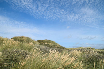 Scenic view of land against sky