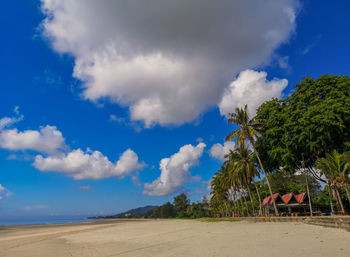 Clear blue water, sand and palm trees. beautiful vacation spot, treatment and aquatics.