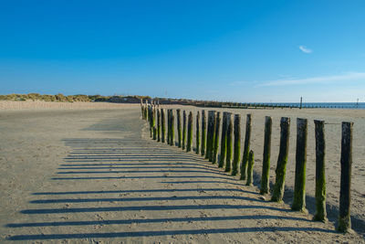 A row of wooden posts in the sand form part of the sea defences at west wittering, west sussex, uk.