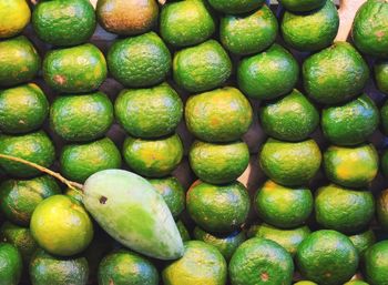 Full frame shot of oranges in market