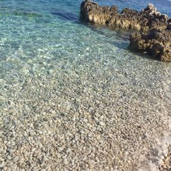Scenic view of sea