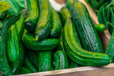 High angle view of cucumbers in crate for sale