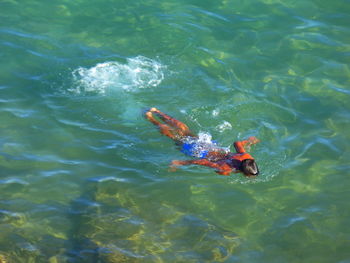 High angle view of man swimming in sea