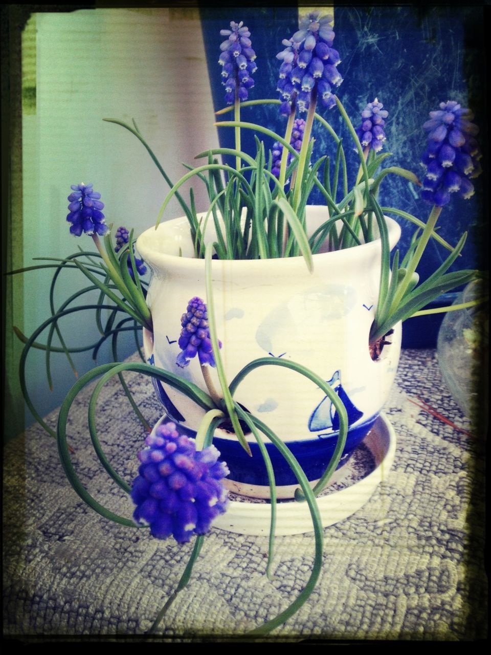 flower, indoors, vase, potted plant, table, transfer print, auto post production filter, plant, still life, fragility, purple, high angle view, flower pot, freshness, close-up, decoration, home interior, wall - building feature, no people, growth