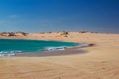 Scenic view of beach against blue sky