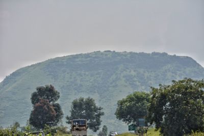 Trees on mountain against sky