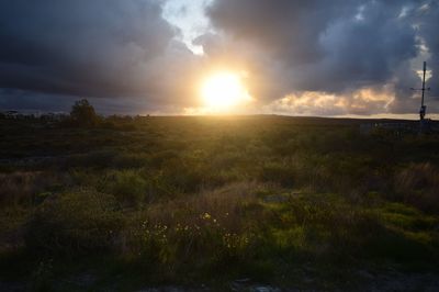 Scenic view of field against sky during sunset