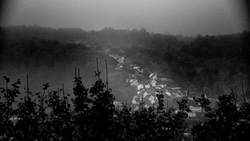 Panoramic shot of silhouette trees and plants against sky