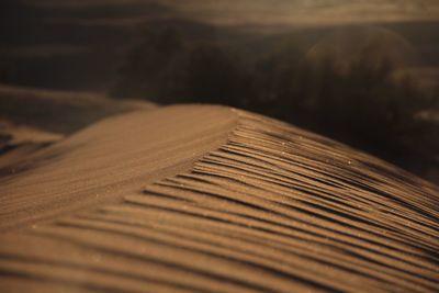 Close-up of sand dune