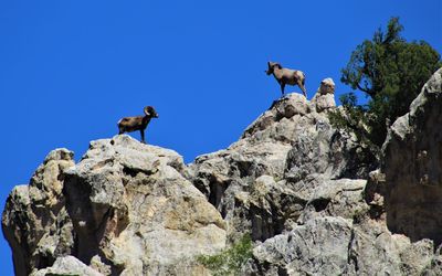 Low angle view of rocks on rock against blue sky