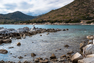 Crystal clear sea of sardinia