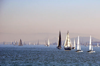 Sailboats sailing in sea against clear sky