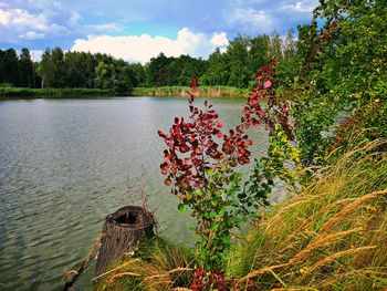 Scenic view of lake against sky