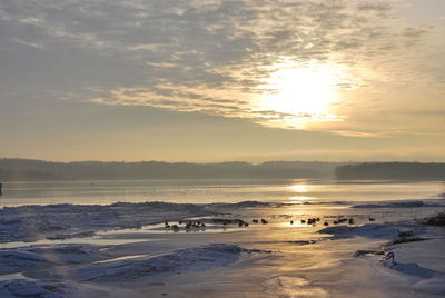 Scenic view of sea at sunset