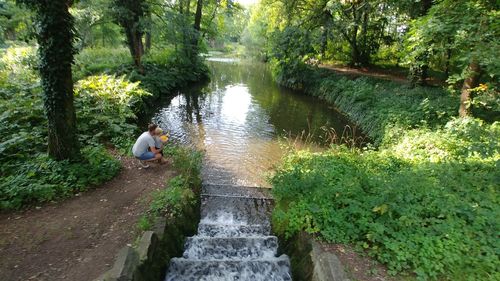 Rear view of man in river amidst trees