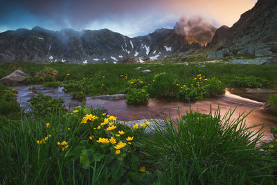 Scenic view of lake and mountains against sky