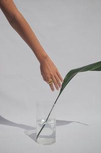 Cropped image of woman hand reaching to leaf in glass container against gray background