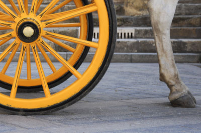 Low section of horse by cart wheel on street