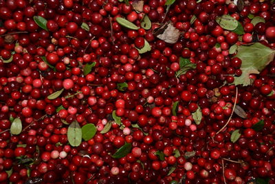 Full frame shot of cherries