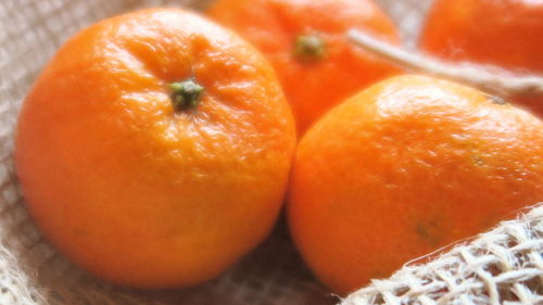 Close-up of oranges