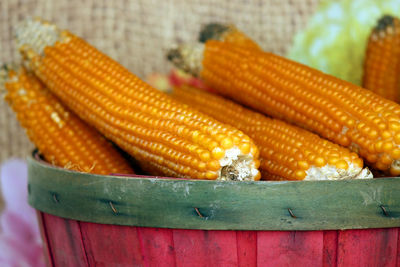 Close-up of corn in container