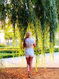 Rear view of woman standing by twigs at park