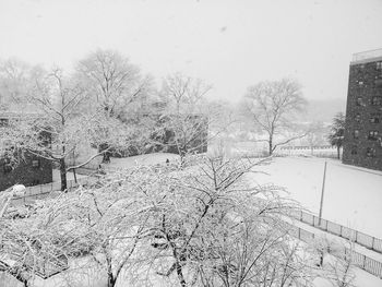 Bare trees on snow covered landscape against sky